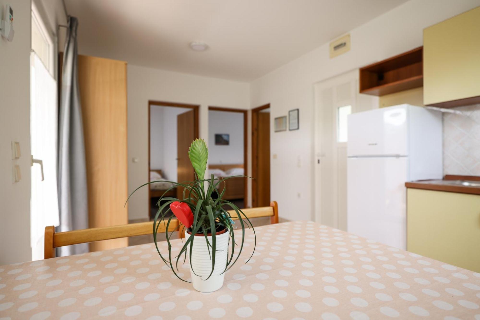 Apartments Kika Нин Екстериор снимка